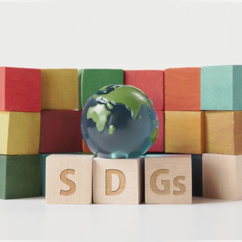 雛人形 SDGs