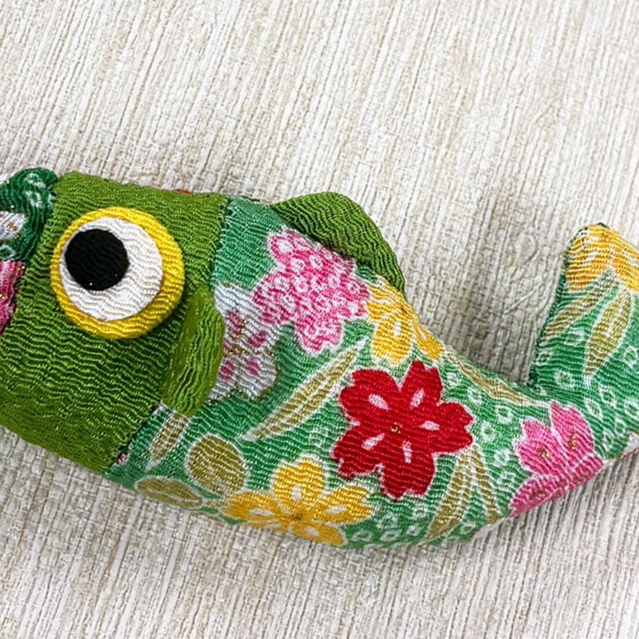 小さな縮緬こい