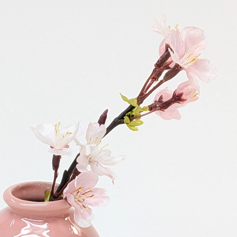 桜の花
