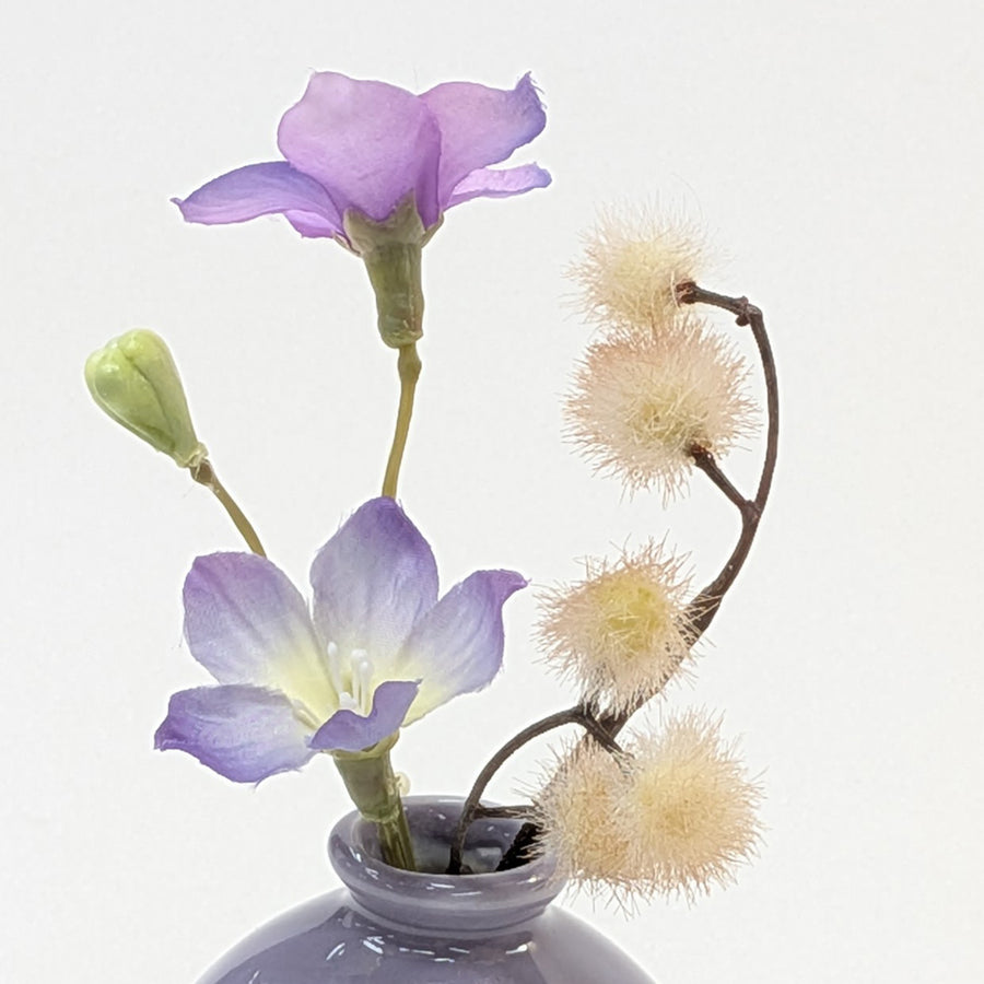可愛いお花